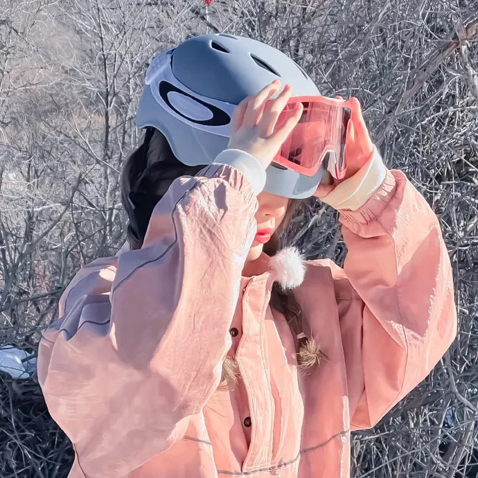 大明星丽莎